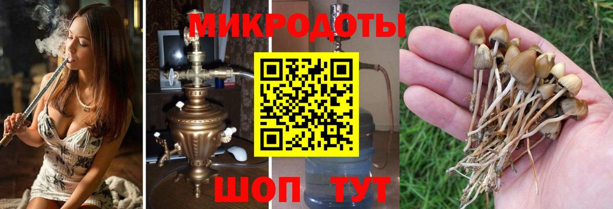 Архангельск  Псилоцибиновые грибы GOLDEN TEACHER  Вход с VPN 